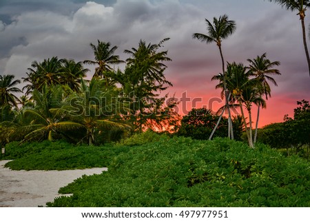 Dramatic sunset over the exotic beach, Punta Cana,  Dominican Republic, with palms and white sand beaches for a relaxing beach
