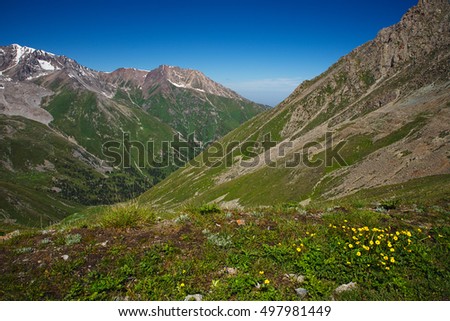 Green grassy mountain valley with ice peaks, Central Tien-Shan, Kazakhstan