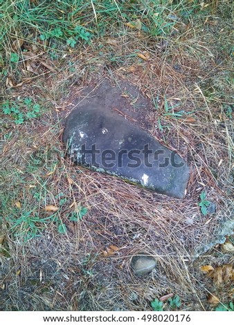 Pictures of nature. A rock