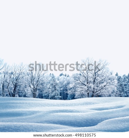  forest in the frost. Winter landscape. Snow covered trees. 