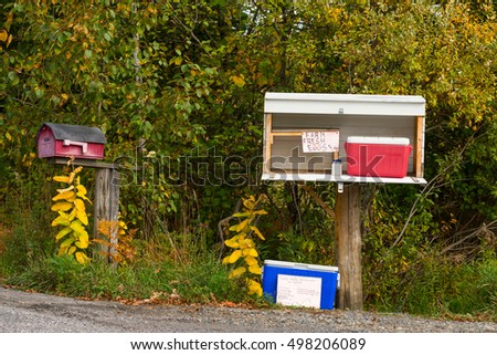 Farm Eggs stand on a country road