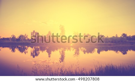magical sunrise with tree