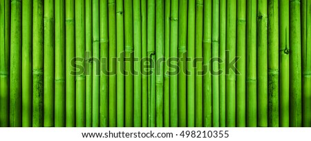 Green bamboo fence texture, bamboo texture background Royalty-Free Stock Photo #498210355