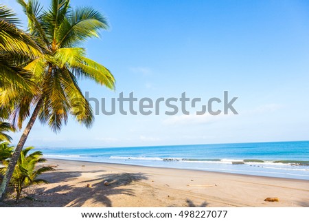 Beach with palm trees and calm sea in sunny day