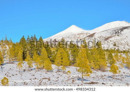 Winter Landscape on the High Mountain Range
