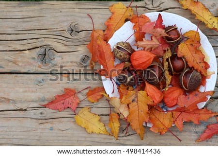 Horse chestnuts and orange leaves of maple on white porcelain plate on weathered wooden background. Daylight, original photo, autumnal scene in garden 