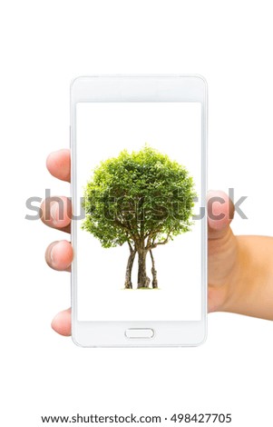 The tree in mobile phone.