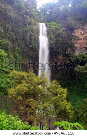 Waterfall in a rain-forest