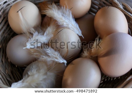 Fresh chicken eggs placed on the panel.
