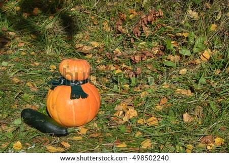 Two funny little man in the form of pumpkin and squash on natural background
