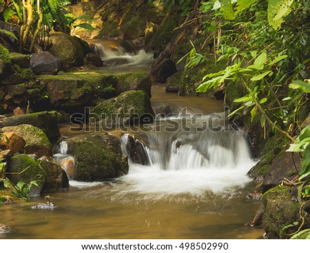 Mountain stream between trees and stones. Water splashing. 