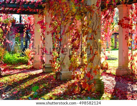 park, red leaves, column