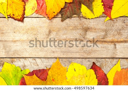 Autumn leaves on the background of wooden boards
