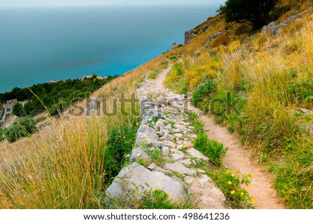Landscape with pathway among trees and stones. Beautiful picture of mediterranean forest. Travel Photography.