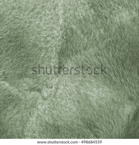 closeup of natural painted green mink fur texture