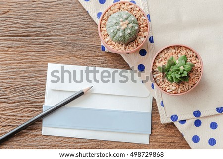 the  Letter  with cactus on the wooden table in Minimal Hipster style
