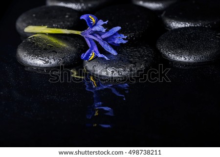 beautiful spa concept of blooming iris flower and black zen stones on ripple reflection water, closeup 