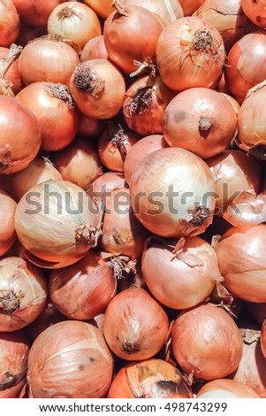 vertical picture of group of fresh red onion