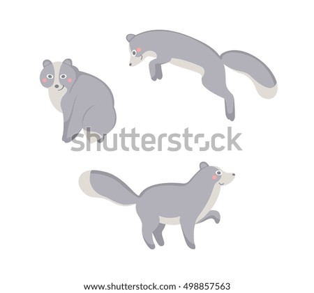 Cute polar fox in different poses on white background. Vector flat illustration.