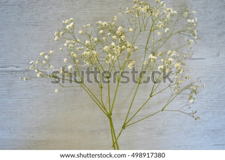 Baby's breath wedding flowers on white wood background