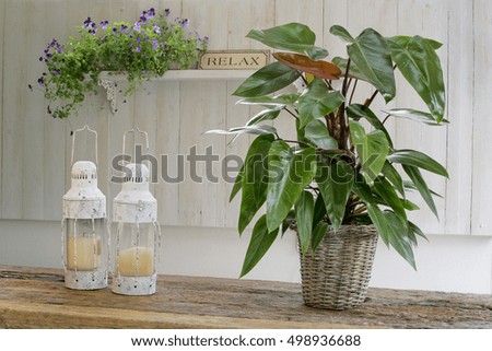 Blooming flowerpot bouquets on vintage wooden table 