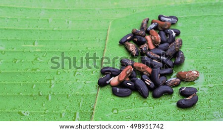 Black beans on banana green  leave background.