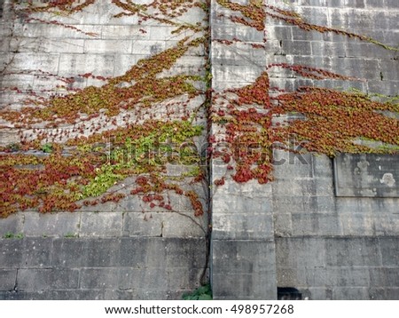 autumn wall