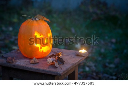 
Pumpkin on Halloween