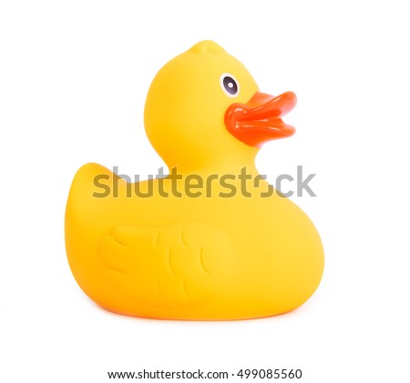Rubber duck yellow toy for swimming isolated on white background Royalty-Free Stock Photo #499085560