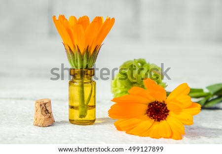 Small bottle of calendula oil (extract, tincture, infusion)