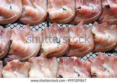 Striped snakehead fishes dried in the sun for sell in open market, thai market store