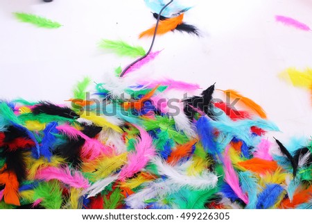 Feather texture,colorful background