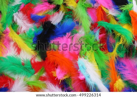 Feather texture,colorful background wallpaper