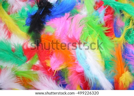 Feather texture,colorful background