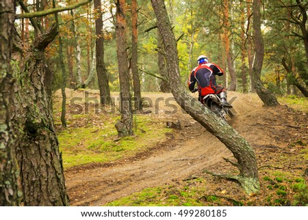 Motocross racer on sandy road in autumn forest