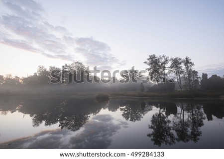 Reflection of trees in the water at sunrise 