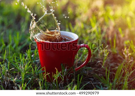red cup of coffee on the green grass