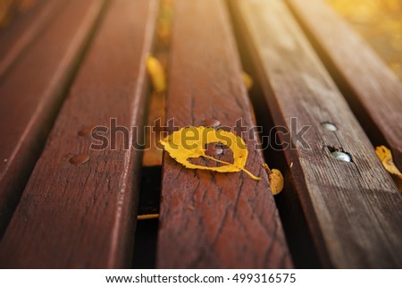 Autumn leaf on a bench in the Park