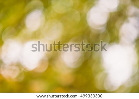 Natural fall or autumn bokeh background with blurred leaves and branches. Horizontal frame for use as a backdrop