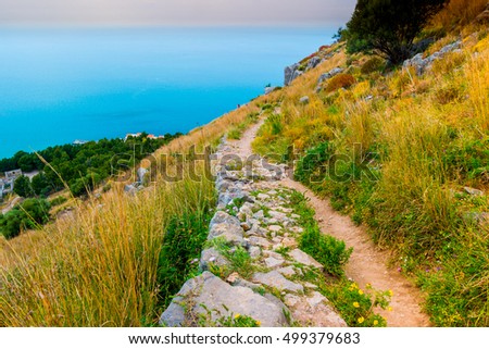 Landscape with pathway among trees and stones. Beautiful picture of mediterranean forest. Travel Photography.