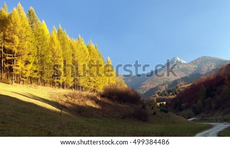 Autumnal view of mount Klak, Mala Fatra from Strazovske vrchy, Slovakia