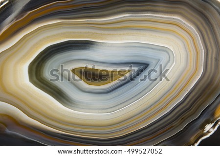Mineral polished agate collection. Royalty-Free Stock Photo #499527052