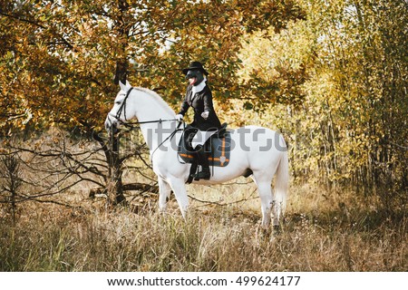 Weird woman in a bird (penguin) rubber mask wearing a hat, riding a white horse in the autumn forest