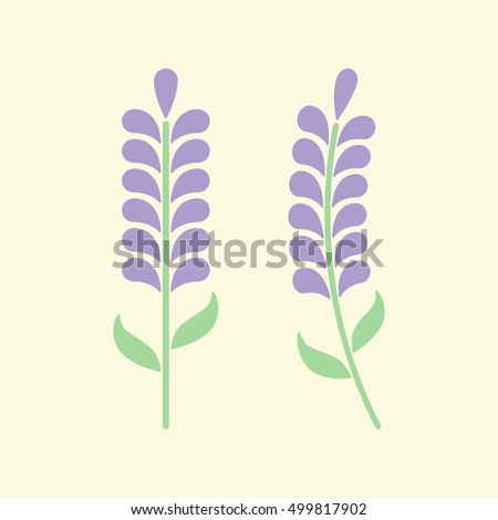 Minimal lavender with leafs isolated on background. Lavender icon or logo. Vector illustration. Abstract flowers in flat style. Lavender flower