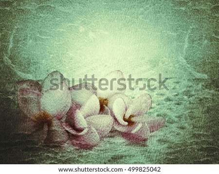 Beautiful frangipani flower on vintage background