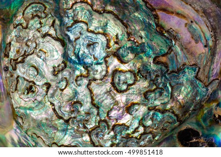 Nature abstract of nacre mother-of-pearl inner side of Paua, Perlemoen or Abalone shell macro background texture pattern Royalty-Free Stock Photo #499851418