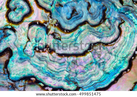 Nature texture pattern of nacre mother-of-pearl inner side of Paua, Perlemoen or Abalone shell macro abstract background Royalty-Free Stock Photo #499851475