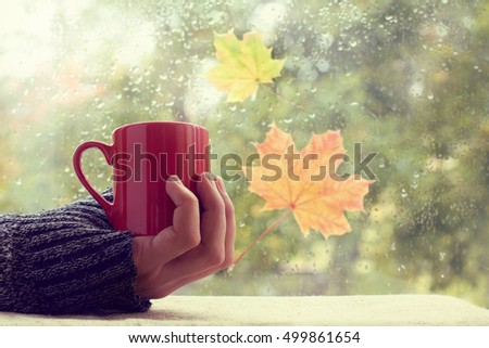 hand in red sweater holding a mug on a background of a wet window / warming atmosphere with a drink
