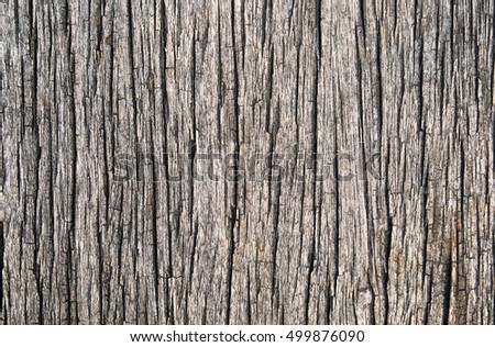 seamless texture of old bark wood with cracks pattern