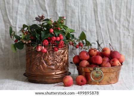 Pink Crab Apples in vintage cooper bowl, plant with red berries in vintage very old cooper flower pot, planter rose pattern on grey natural linen napkin background. Daylight, original photo